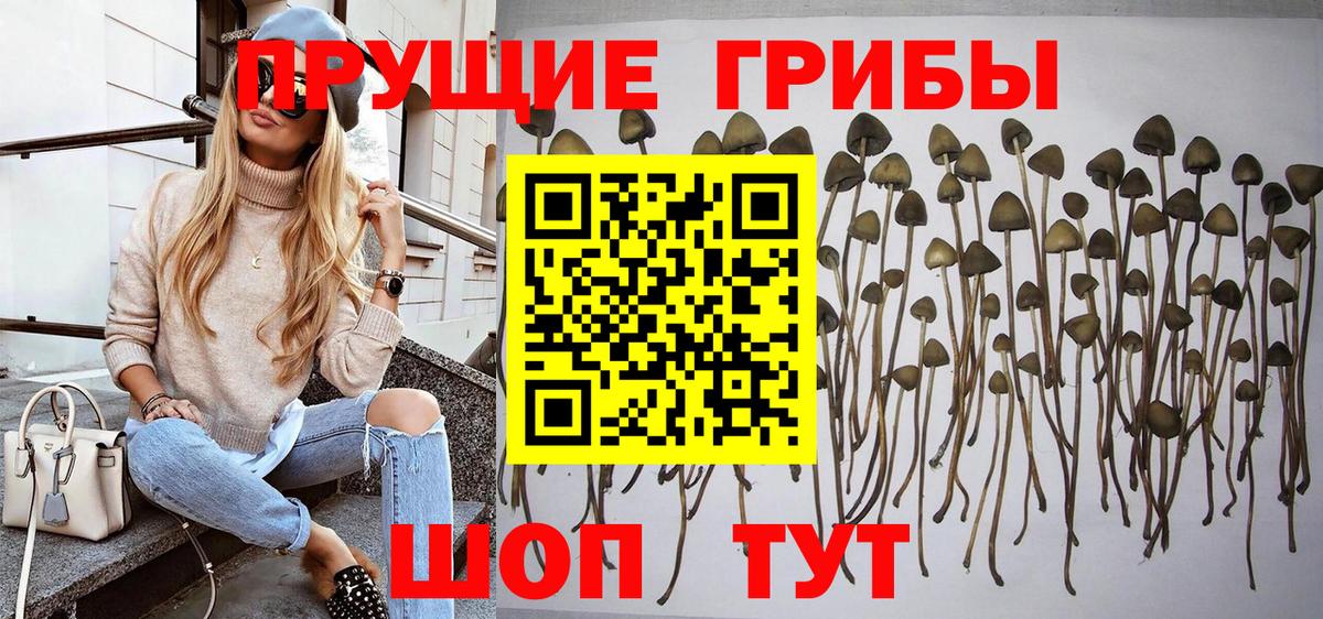 купить наркотики сайты  Вход с VPN  Миллерово  Псилоцибиновые грибы мухоморы 